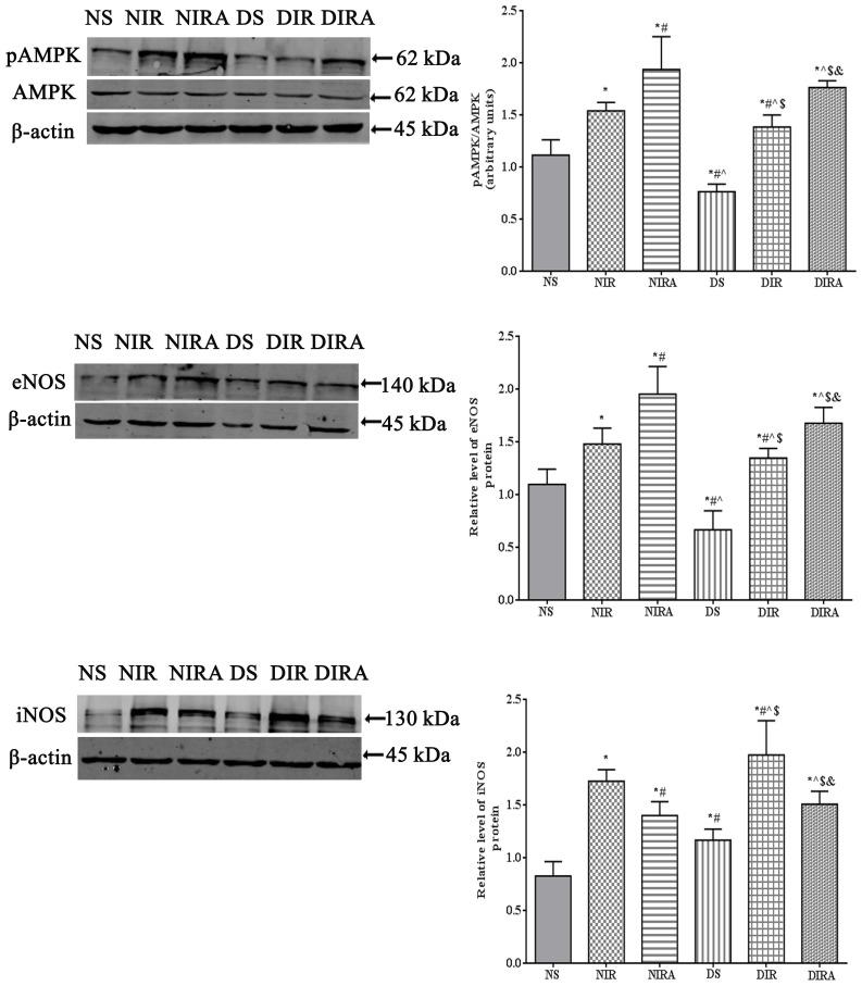 https://cdn.ncbi.nlm.nih.gov/pmc/blobs/e519/5928677/f0c4f3c62ae4/MMR-17-05-7191-g05.jpg