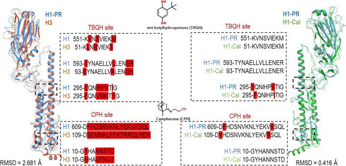 https://cdn.ncbi.nlm.nih.gov/pmc/blobs/e51b/8116641/b36a1a87f92f/705_2021_5102_Fig7_HTML.jpg