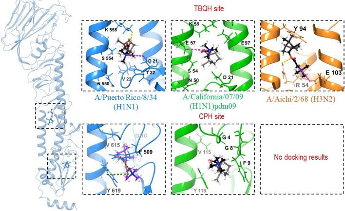 https://cdn.ncbi.nlm.nih.gov/pmc/blobs/e51b/8116641/bfbd0df41d01/705_2021_5102_Fig6_HTML.jpg