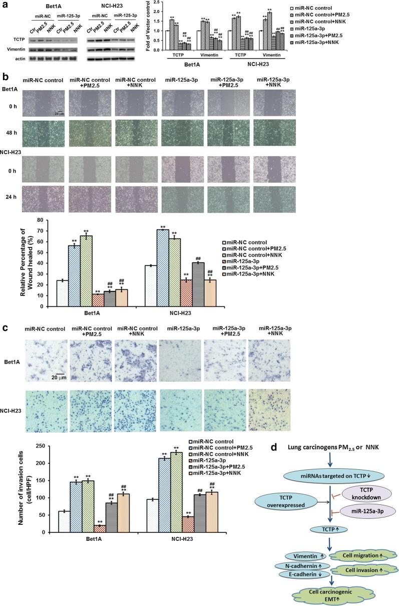 https://cdn.ncbi.nlm.nih.gov/pmc/blobs/e51c/7011287/db6099bcc5c0/12967_2020_2256_Fig6_HTML.jpg