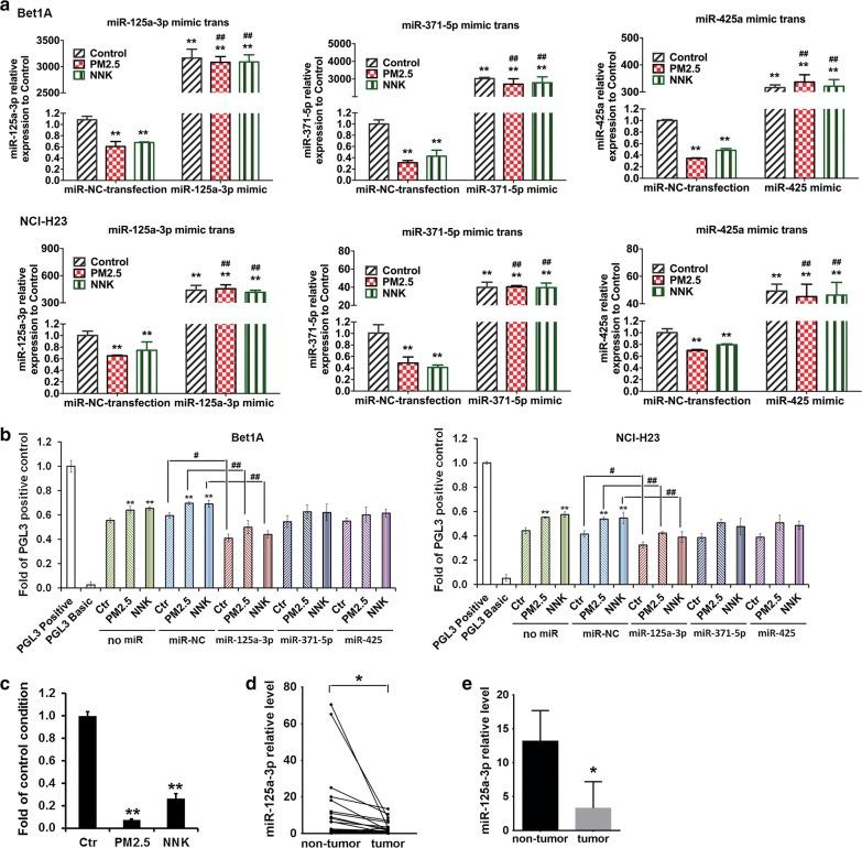 https://cdn.ncbi.nlm.nih.gov/pmc/blobs/e51c/7011287/e4ab363db2df/12967_2020_2256_Fig5_HTML.jpg