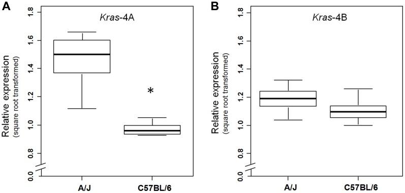 https://cdn.ncbi.nlm.nih.gov/pmc/blobs/e51e/3990522/36475639ba8d/pgen.1004307.g004.jpg
