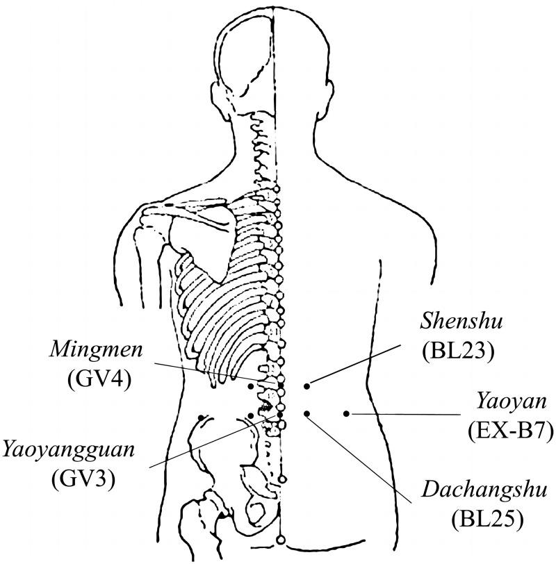 https://cdn.ncbi.nlm.nih.gov/pmc/blobs/e51f/10913808/923f126deb6d/JPR-17-817-g0002.jpg