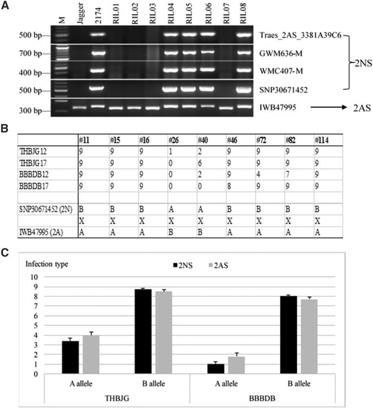https://cdn.ncbi.nlm.nih.gov/pmc/blobs/e51f/5982832/3f6e8e6167f9/2059f3.jpg