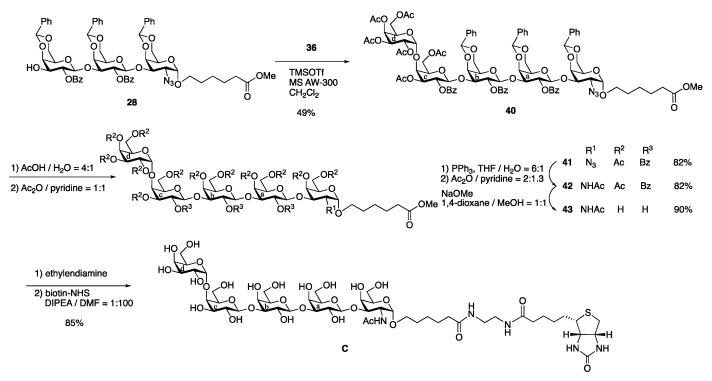 https://cdn.ncbi.nlm.nih.gov/pmc/blobs/e51f/8468584/221178829c85/molecules-26-05652-sch009.jpg