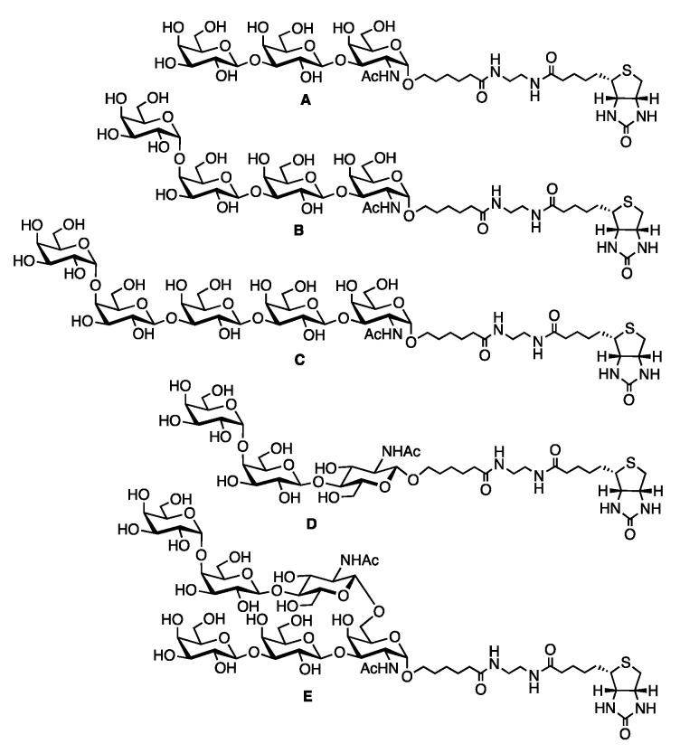 https://cdn.ncbi.nlm.nih.gov/pmc/blobs/e51f/8468584/22122936848c/molecules-26-05652-g002.jpg
