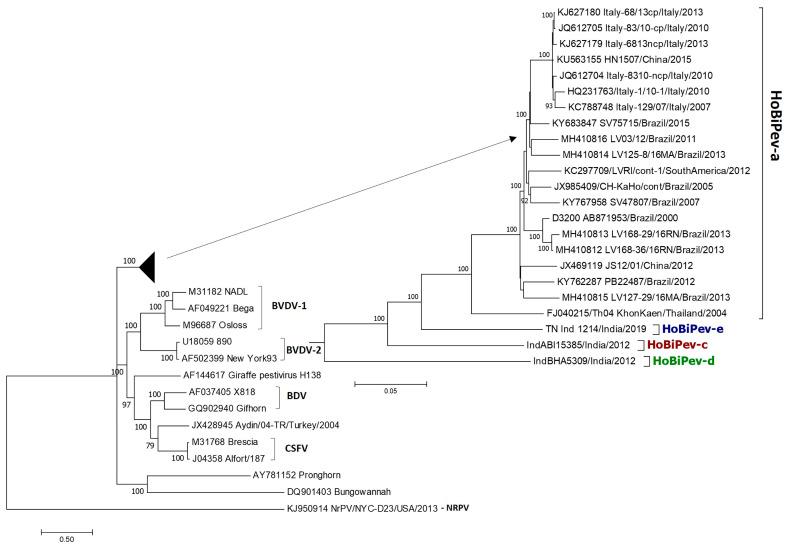https://cdn.ncbi.nlm.nih.gov/pmc/blobs/e520/10055830/6ef1114b594c/viruses-15-00733-g001.jpg