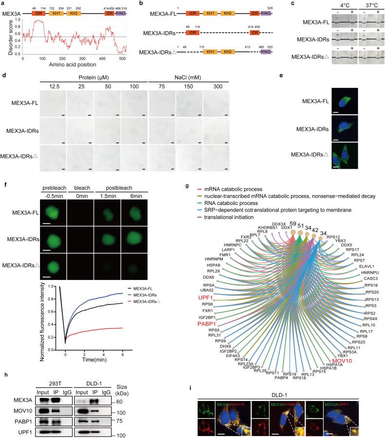 https://cdn.ncbi.nlm.nih.gov/pmc/blobs/e520/10987644/bb655a674ce0/41392_2024_1787_Fig2_HTML.jpg