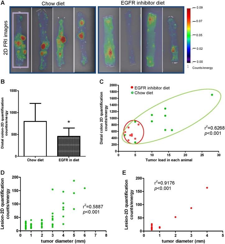 https://cdn.ncbi.nlm.nih.gov/pmc/blobs/e521/5595252/43b2f0bd5ce3/10.1177_1536012117729044-fig2.jpg
