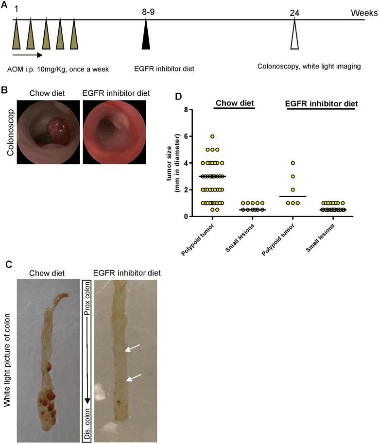 https://cdn.ncbi.nlm.nih.gov/pmc/blobs/e521/5595252/c9b291d39361/10.1177_1536012117729044-fig1.jpg