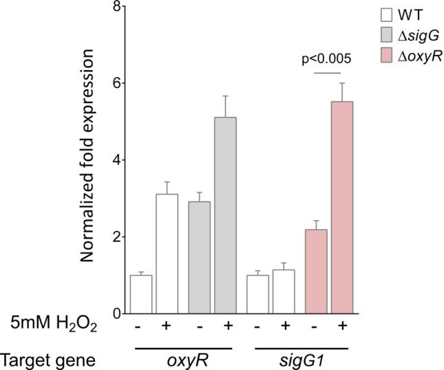 https://cdn.ncbi.nlm.nih.gov/pmc/blobs/e521/7730460/3a1bec103917/41598_2020_78520_Fig6_HTML.jpg