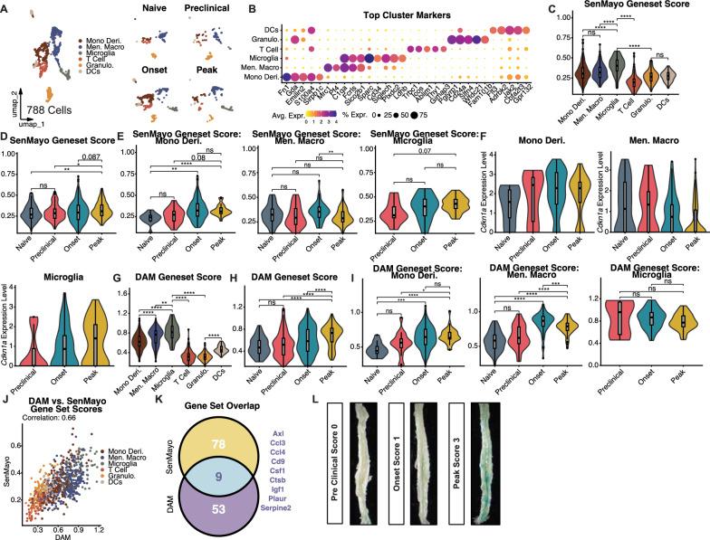 https://cdn.ncbi.nlm.nih.gov/pmc/blobs/e522/11974124/336d13efb138/12974_2025_3425_Fig3_HTML.jpg