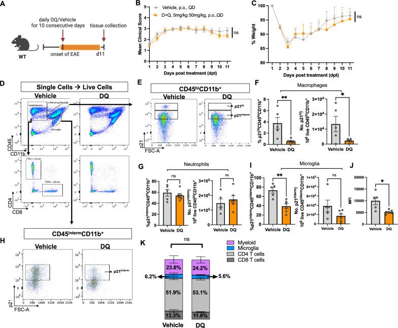 https://cdn.ncbi.nlm.nih.gov/pmc/blobs/e522/11974124/7e3afaac91fe/12974_2025_3425_Fig4_HTML.jpg