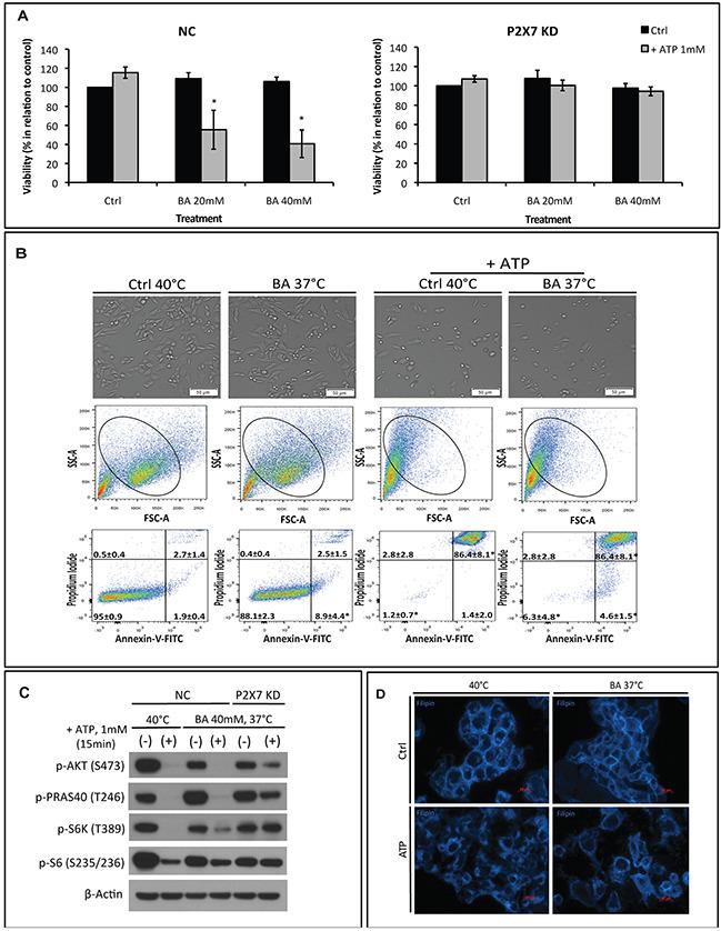 https://cdn.ncbi.nlm.nih.gov/pmc/blobs/e522/5620171/2e41e8dac5a3/oncotarget-08-67254-g004.jpg