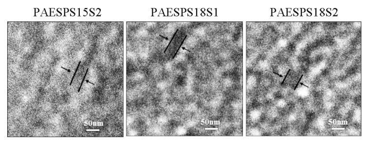 https://cdn.ncbi.nlm.nih.gov/pmc/blobs/e522/6722611/5205531a49e7/polymers-11-01297-g003.jpg