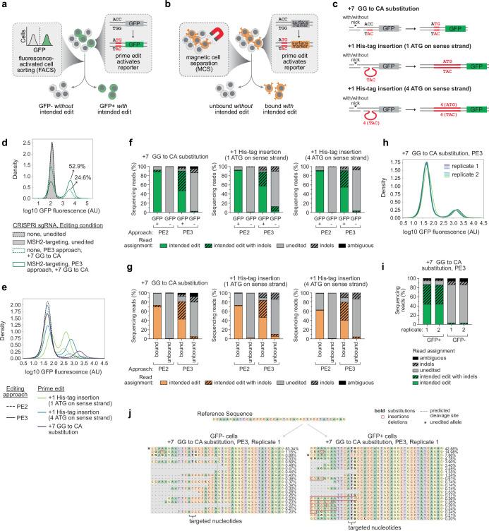 https://cdn.ncbi.nlm.nih.gov/pmc/blobs/e523/11023932/51f4eeece322/41586_2024_7259_Fig6_ESM.jpg