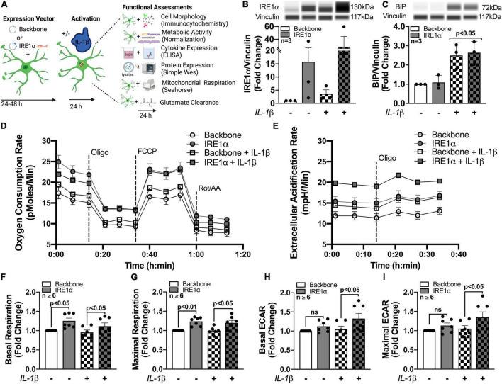 https://cdn.ncbi.nlm.nih.gov/pmc/blobs/e523/9247407/312b67f95ccb/fnins-16-906651-g006.jpg