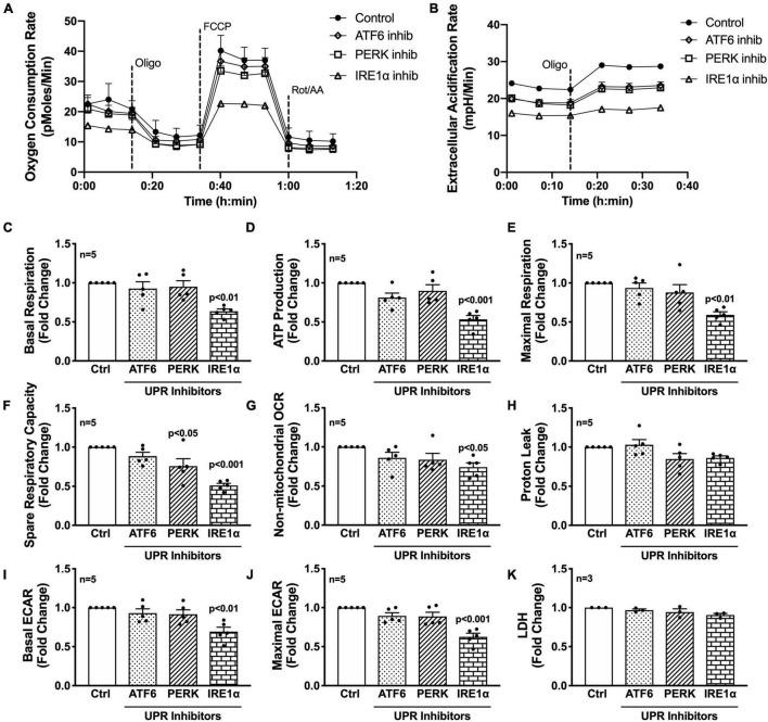 https://cdn.ncbi.nlm.nih.gov/pmc/blobs/e523/9247407/d68b865a7286/fnins-16-906651-g004.jpg