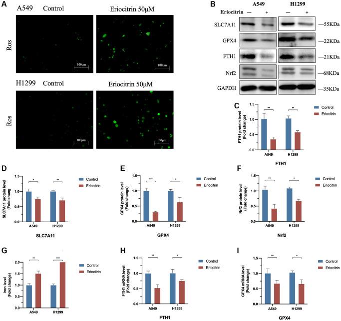 https://cdn.ncbi.nlm.nih.gov/pmc/blobs/e524/10599723/1c519c439e2f/aging-15-205049-g003.jpg