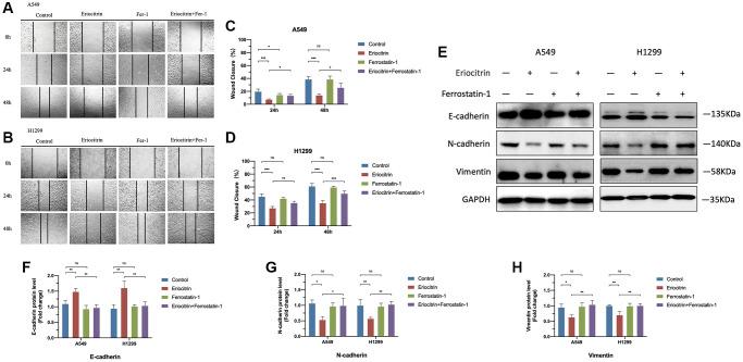 https://cdn.ncbi.nlm.nih.gov/pmc/blobs/e524/10599723/db67567bbeba/aging-15-205049-g004.jpg