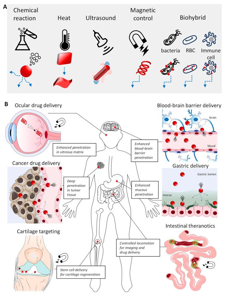 https://cdn.ncbi.nlm.nih.gov/pmc/blobs/e525/11314275/492562fd3287/molecules-29-03663-g001.jpg