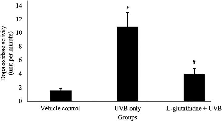 https://cdn.ncbi.nlm.nih.gov/pmc/blobs/e525/6842793/65c33dbbcde3/expanim-68-541-g005.jpg