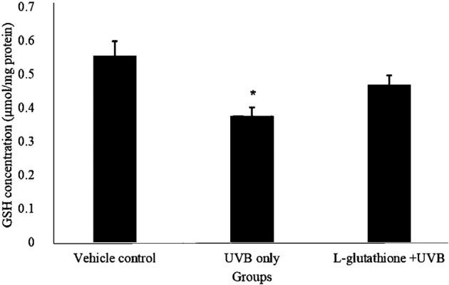 https://cdn.ncbi.nlm.nih.gov/pmc/blobs/e525/6842793/f97bd2c42f11/expanim-68-541-g001.jpg