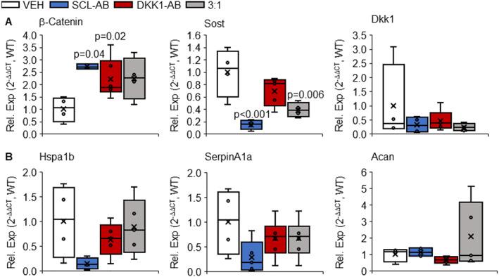 https://cdn.ncbi.nlm.nih.gov/pmc/blobs/e525/9320845/9d718b34ae98/JBMR-37-1156-g003.jpg