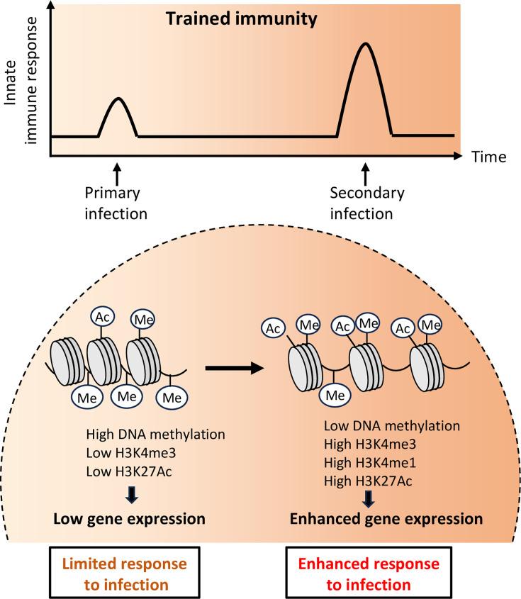 https://cdn.ncbi.nlm.nih.gov/pmc/blobs/e526/12404611/21e46f7bb25e/elife-106443-fig2.jpg