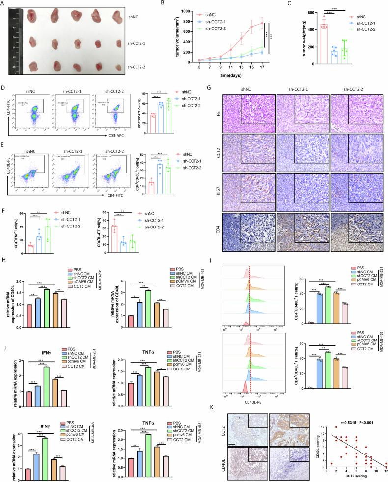 https://cdn.ncbi.nlm.nih.gov/pmc/blobs/e528/11289294/81d9c47564c8/41419_2024_6944_Fig6_HTML.jpg