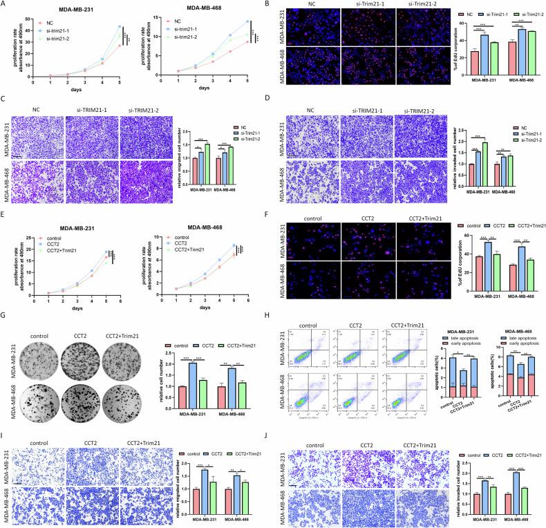 https://cdn.ncbi.nlm.nih.gov/pmc/blobs/e528/11289294/a6ce06e6d30a/41419_2024_6944_Fig5_HTML.jpg