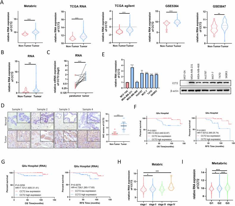 https://cdn.ncbi.nlm.nih.gov/pmc/blobs/e528/11289294/e9c6a5a59b46/41419_2024_6944_Fig1_HTML.jpg