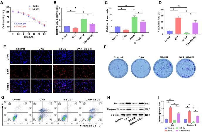 https://cdn.ncbi.nlm.nih.gov/pmc/blobs/e529/11959402/45f0938402cb/bb-2024-10928f3.jpg