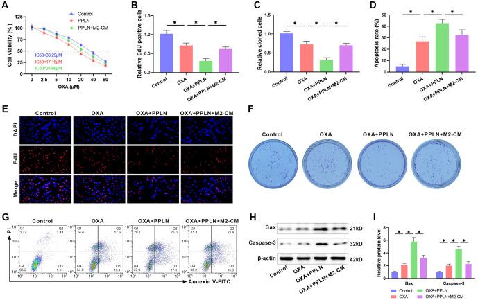 https://cdn.ncbi.nlm.nih.gov/pmc/blobs/e529/11959402/7468a35f74fa/bb-2024-10928f5.jpg