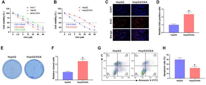 https://cdn.ncbi.nlm.nih.gov/pmc/blobs/e529/11959402/8c713d806031/bb-2024-10928f1.jpg