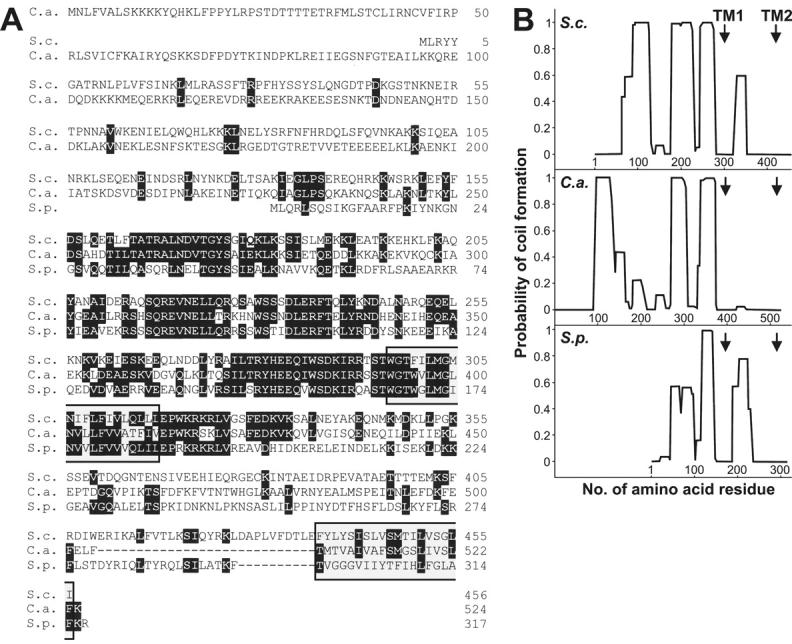 https://cdn.ncbi.nlm.nih.gov/pmc/blobs/e52c/2173741/cde90109288b/200211113f1.jpg