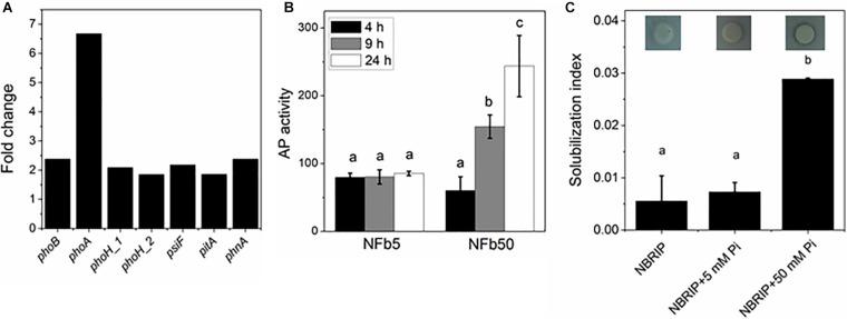 https://cdn.ncbi.nlm.nih.gov/pmc/blobs/e52e/8222739/362b236d9e16/fmicb-12-666277-g003.jpg