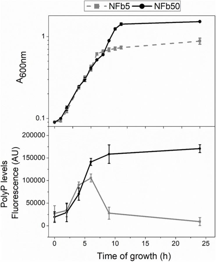 https://cdn.ncbi.nlm.nih.gov/pmc/blobs/e52e/8222739/f53207e25dd8/fmicb-12-666277-g001.jpg