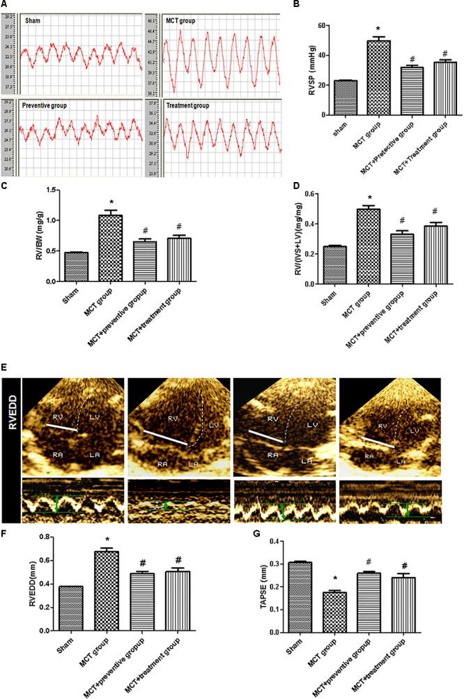 https://cdn.ncbi.nlm.nih.gov/pmc/blobs/e532/6399137/30d0847f2e01/fphar-10-00128-g003.jpg