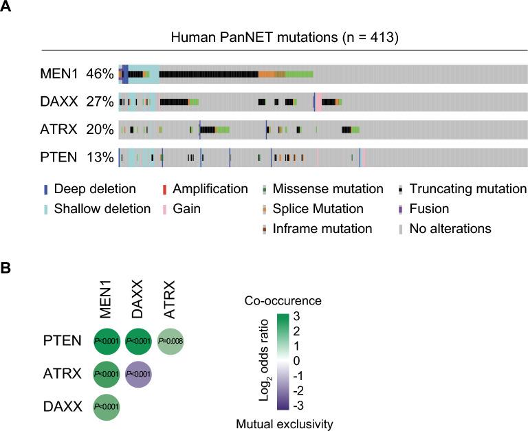 https://cdn.ncbi.nlm.nih.gov/pmc/blobs/e534/11014914/ddf3397abc97/41598_2024_58874_Fig1_HTML.jpg