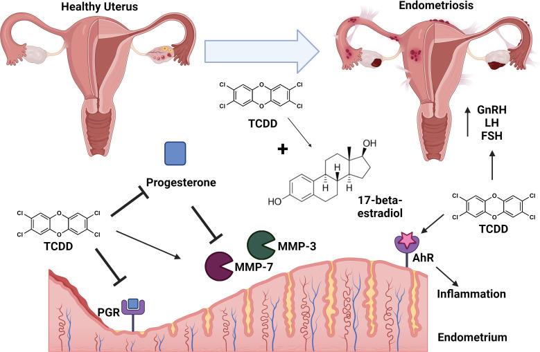 https://cdn.ncbi.nlm.nih.gov/pmc/blobs/e534/11666484/3e6667d1cef8/fimmu-15-1497405-g001.jpg