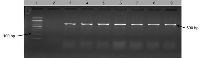 https://cdn.ncbi.nlm.nih.gov/pmc/blobs/e534/9944967/5e7c3ffcbbe7/pjm-71-519-g005.jpg