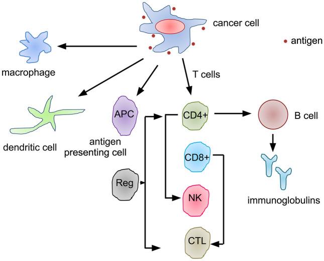 https://cdn.ncbi.nlm.nih.gov/pmc/blobs/e535/7959277/6b8c216a2560/10787_2021_796_Fig2_HTML.jpg