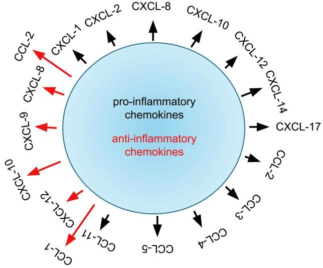 https://cdn.ncbi.nlm.nih.gov/pmc/blobs/e535/7959277/8ae277ae2792/10787_2021_796_Fig4_HTML.jpg