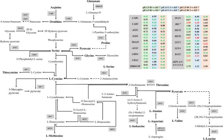 https://cdn.ncbi.nlm.nih.gov/pmc/blobs/e535/9685915/4233f97bf856/12934_2022_1974_Fig6_HTML.jpg