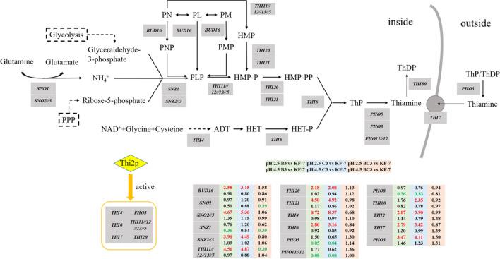 https://cdn.ncbi.nlm.nih.gov/pmc/blobs/e535/9685915/860d184841b5/12934_2022_1974_Fig5_HTML.jpg