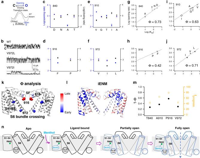 https://cdn.ncbi.nlm.nih.gov/pmc/blobs/e537/7391767/b488aa9af6b7/41467_2020_17582_Fig6_HTML.jpg