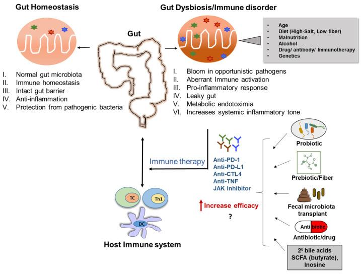 https://cdn.ncbi.nlm.nih.gov/pmc/blobs/e537/9953403/b4603bae1e0a/biomedicines-11-00294-g003.jpg
