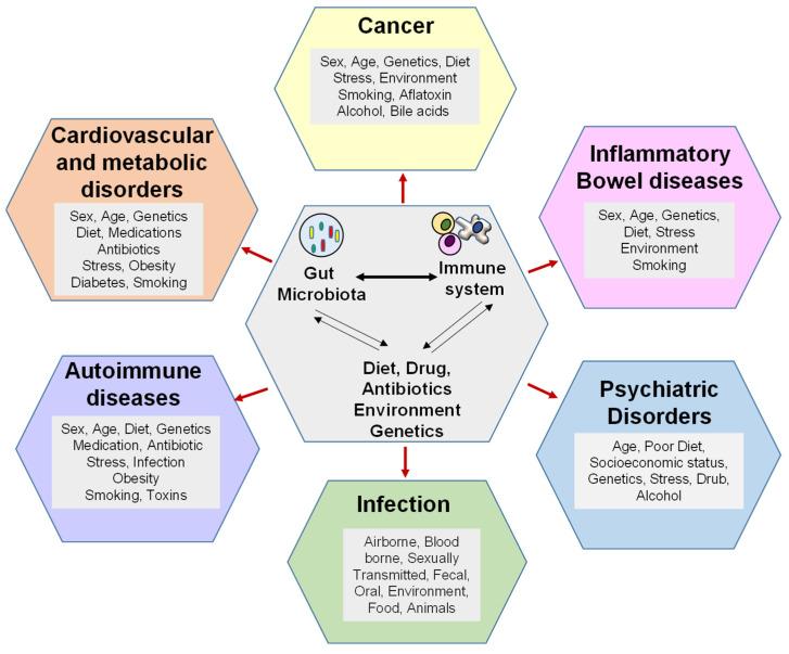 https://cdn.ncbi.nlm.nih.gov/pmc/blobs/e537/9953403/b4f73a1c7e53/biomedicines-11-00294-g002.jpg