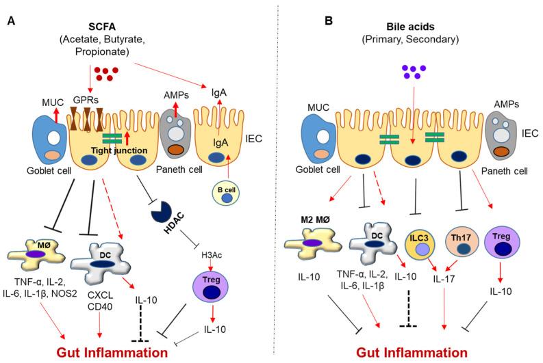 https://cdn.ncbi.nlm.nih.gov/pmc/blobs/e537/9953403/d2e4bead8043/biomedicines-11-00294-g001.jpg